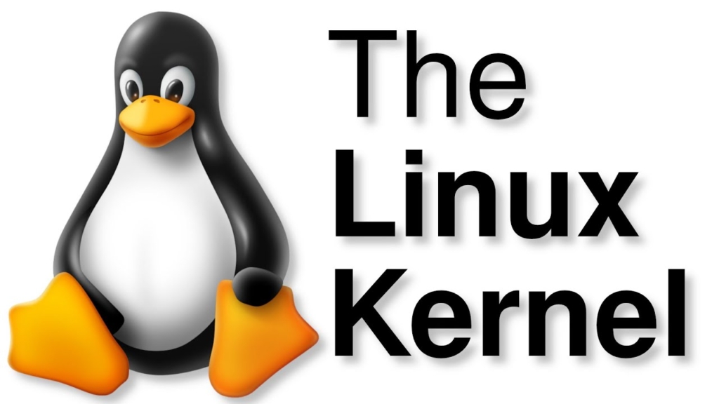 I fixed a Linux kernel bug!