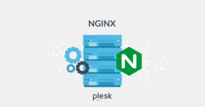 Plesk et NGINX Reverse Proxy : Impact sur les performances